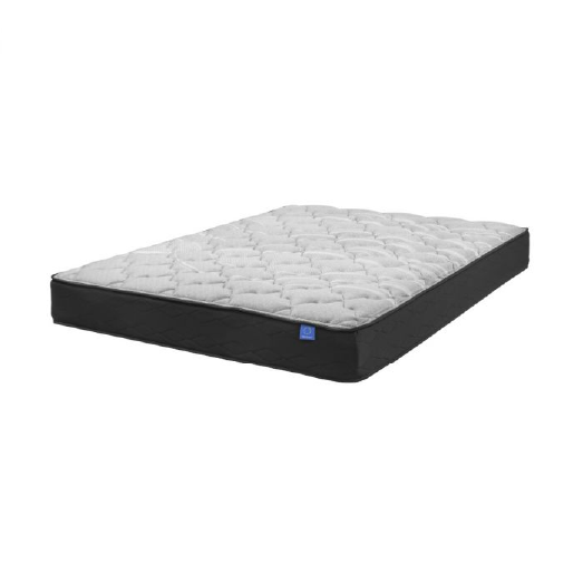 zZ1 Therapedic Plus