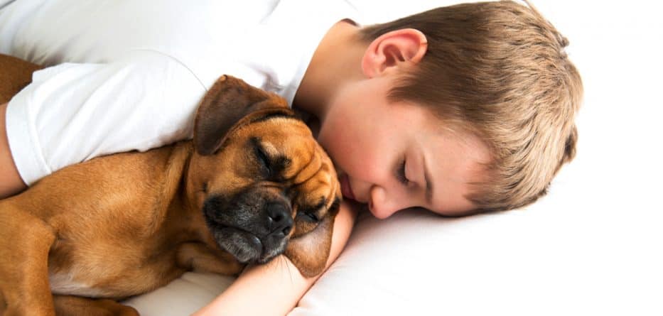 beneficios de dormir con tu perro
